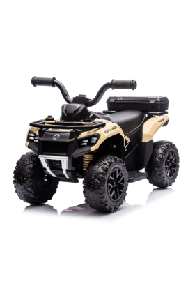 Quad Elettrico Per Bambini  Mini Quad Safari 6V