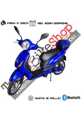 Bici Elettrica Scooter Velocipede Vitale NJT-007 250W  20Ah 48V Batteria a Grafene