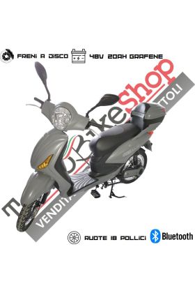 Bici Elettrica Scooter Velocipede Vitale NJT-007 250W 20Ah 48V Batteria a Grafene-Grigio