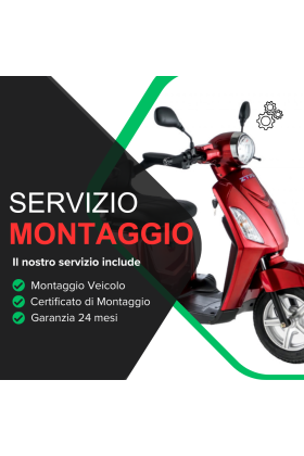 Servizio Accessorio Montaggio Veicolo Z-Tech ZT-15-E / ZT-15-Q / ZT-15-D Trilux Plus - Faster