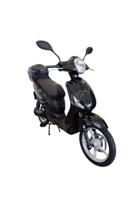 Bici Elettrica Scooter Velocipede Vitale NJT-007 250W  20Ah 48V Batteria a Grafene