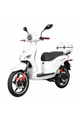 Bici Elettrica Scooter Velocipede Vitale Sport 800W 35Ah 48V Batteria a Litio
